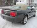 Alloy Metallic - Mustang V6 Premium Convertible Photo No. 17