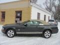 Alloy Metallic - Mustang V6 Premium Convertible Photo No. 23