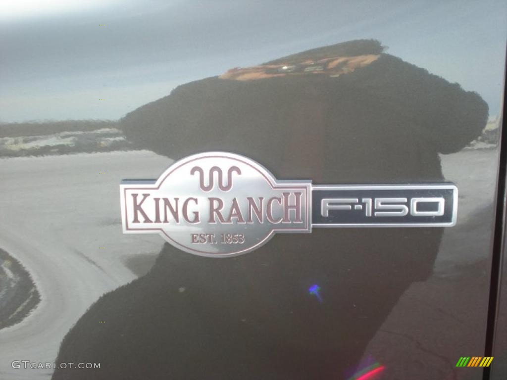 2006 F150 King Ranch SuperCrew 4x4 - Dark Stone Metallic / Castano Brown Leather photo #17