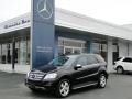 Black - ML 350 Photo No. 2