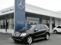 2010 Black Mercedes-Benz ML 350  photo #2