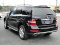 Black 2010 Mercedes-Benz ML 350 Exterior
