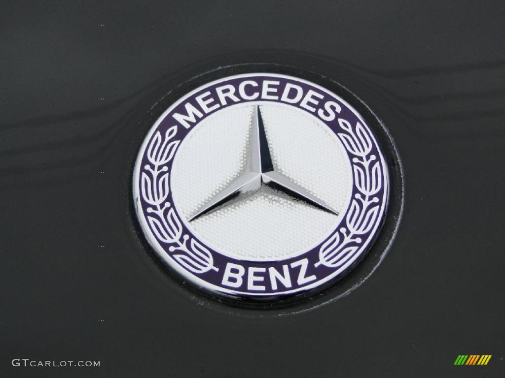 2010 Mercedes-Benz ML 350 Marks and Logos Photo #43536846