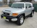 2008 Titanium Metallic Toyota FJ Cruiser   photo #7