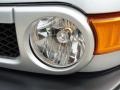 Titanium Metallic - FJ Cruiser  Photo No. 10