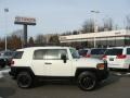 Iceberg White 2008 Toyota FJ Cruiser Trail Teams Special Edition 4WD Exterior