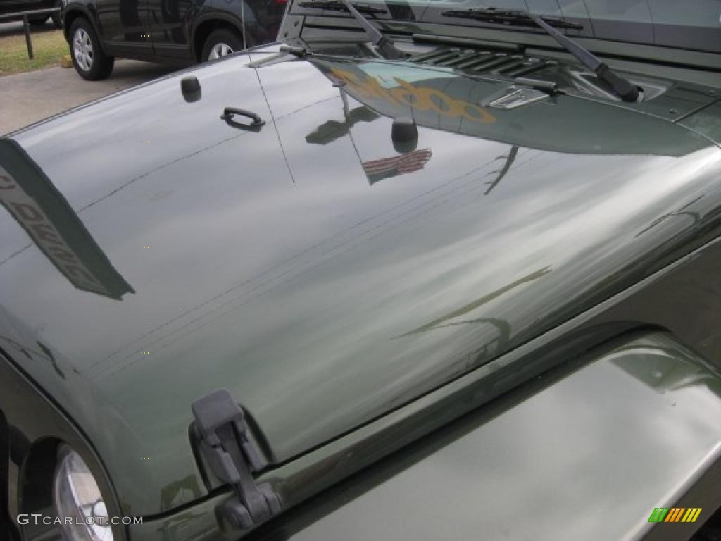 2009 Wrangler Unlimited Sahara 4x4 - Jeep Green Metallic / Dark Slate Gray/Medium Slate Gray photo #62