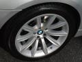 2008 Titanium Silver Metallic BMW 7 Series 750Li Sedan  photo #7