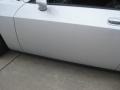 Bright Silver Metallic - Challenger SRT8 Photo No. 65