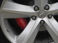 Bright Silver Metallic - Challenger SRT8 Photo No. 77