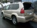 Savannah Beige Metallic - GX 470 Photo No. 3