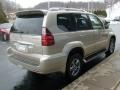 Savannah Beige Metallic - GX 470 Photo No. 5