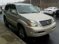 Savannah Beige Metallic - GX 470 Photo No. 6