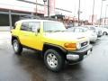 Sun Fusion - FJ Cruiser 4WD Photo No. 5