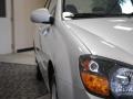 Bright Silver Metallic - Spectra EX Sedan Photo No. 13