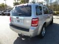 2009 Brilliant Silver Metallic Ford Escape Limited V6  photo #15