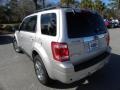 2009 Brilliant Silver Metallic Ford Escape Limited V6  photo #17