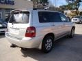 Millenium Silver Metallic - Highlander  Photo No. 8