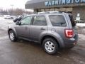 2010 Sterling Grey Metallic Ford Escape Limited V6 4WD  photo #2