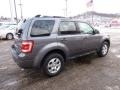 2010 Sterling Grey Metallic Ford Escape Limited V6 4WD  photo #4