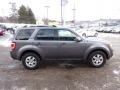 2010 Sterling Grey Metallic Ford Escape Limited V6 4WD  photo #5