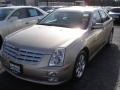 2005 Sand Storm Cadillac STS V6  photo #1