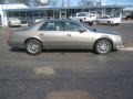 2010 Grey Flannel Cadillac DTS Luxury  photo #7