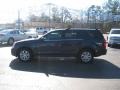 Blue Chip - SRX V6 Photo No. 2