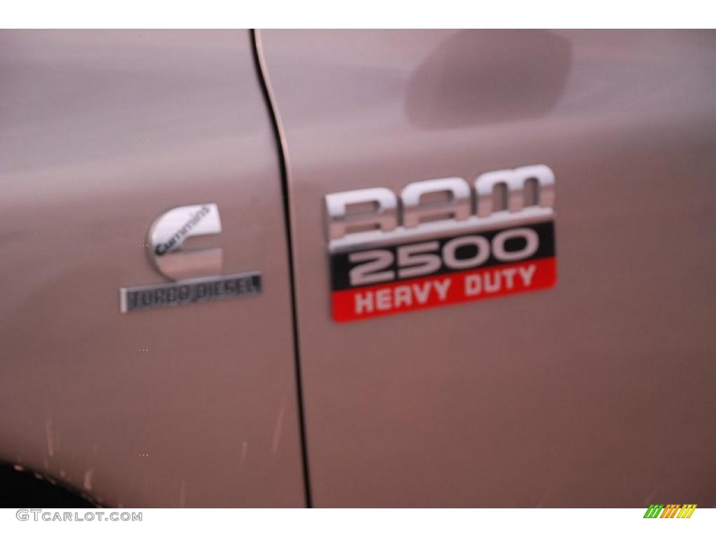 2009 Ram 2500 ST Quad Cab 4x4 - Light Khaki Metallic / Medium Slate Gray photo #13