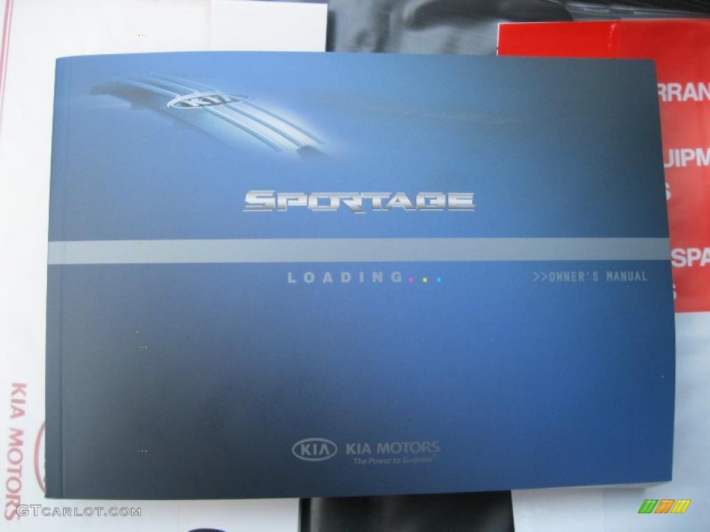 2010 Sportage LX V6 4x4 - Steel Silver / Black photo #28