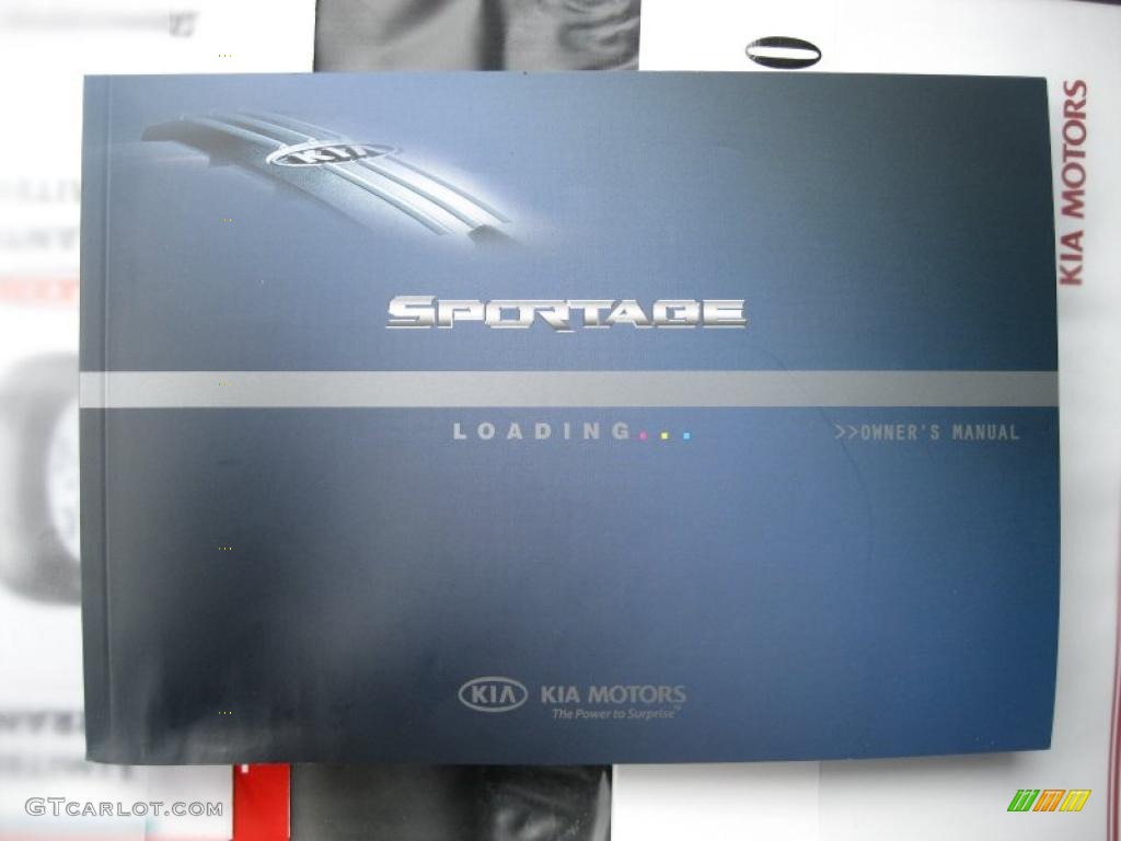 2010 Sportage LX V6 4x4 - Steel Silver / Black photo #29