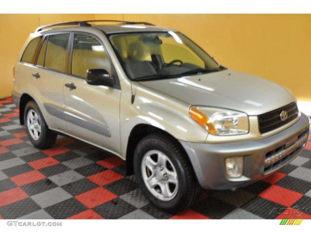 2003 RAV4  - Vintage Gold / Gray photo #1