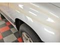 Silverleaf Metallic - Tracker 4WD Hard Top Photo No. 17