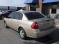 2005 Light Driftwood Metallic Chevrolet Malibu LS V6 Sedan  photo #8