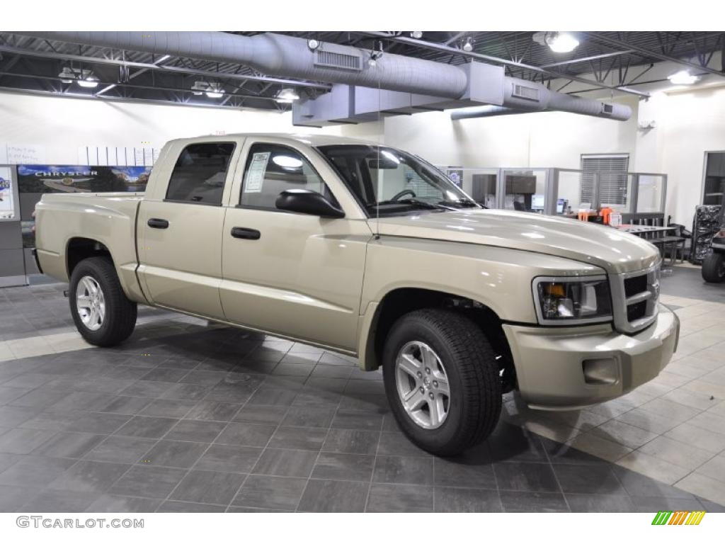 2011 Dakota Big Horn Crew Cab - White Gold Metallic / Dark Khaki/Medium Khaki photo #4