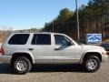 Bright Platinum Metallic - Durango SLT 4x4 Photo No. 3
