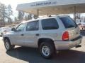 Bright Platinum Metallic - Durango SLT 4x4 Photo No. 6