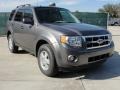Sterling Grey Metallic - Escape XLT Photo No. 1
