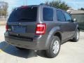 Sterling Grey Metallic - Escape XLT Photo No. 3