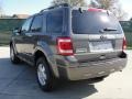 Sterling Grey Metallic - Escape XLT Photo No. 5