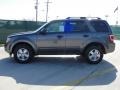 Sterling Grey Metallic - Escape XLT Photo No. 6