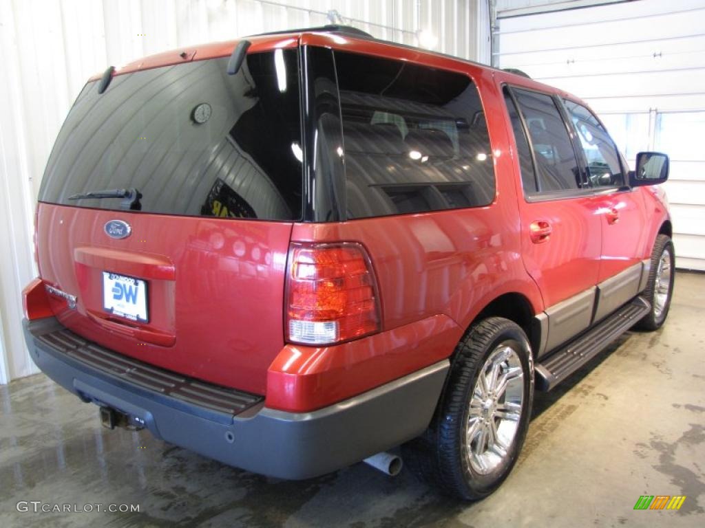 2003 Expedition XLT 4x4 - Laser Red Tinted Metallic / Flint Grey photo #4