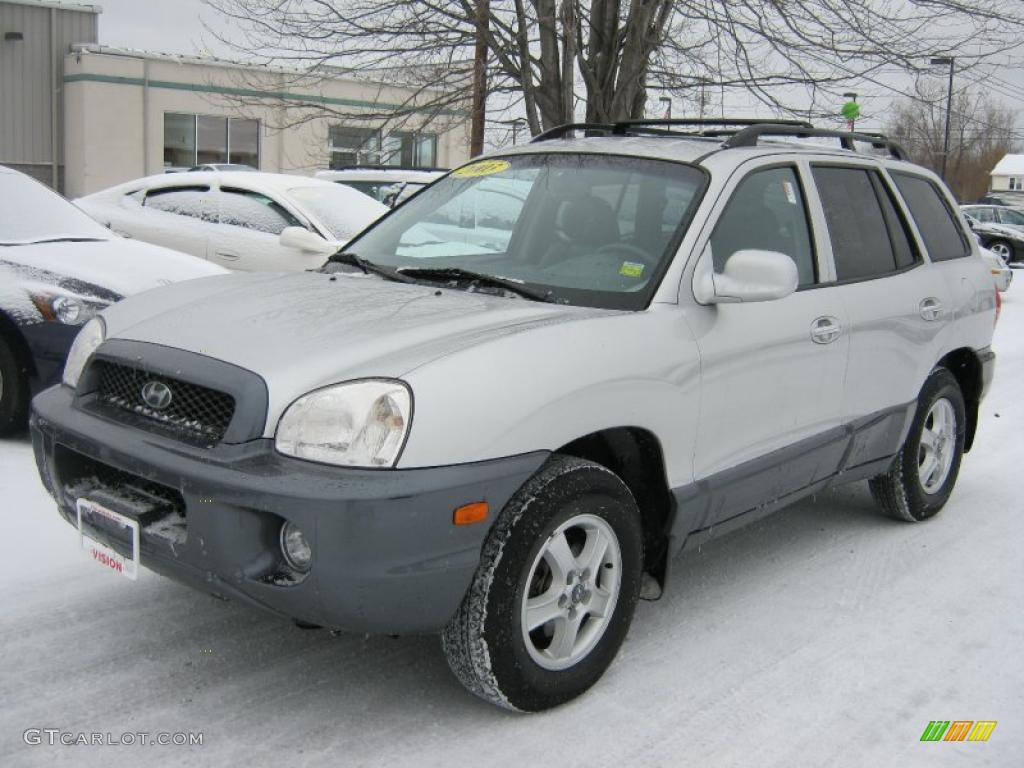 2003 Santa Fe LX - Pewter / Gray photo #1