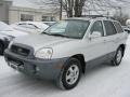 Pewter 2003 Hyundai Santa Fe LX