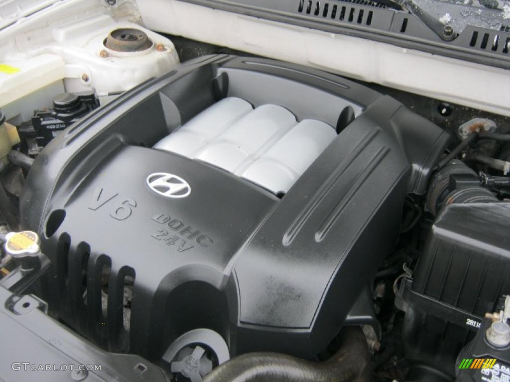 2003 Hyundai Santa Fe LX 2.7 Liter DOHC 24-Valve V6 Engine Photo #43654684