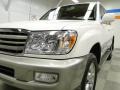 Natural White - Land Cruiser  Photo No. 4