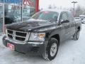 Brilliant Black - Dakota ST Crew Cab 4x4 Photo No. 1