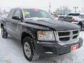Brilliant Black - Dakota ST Crew Cab 4x4 Photo No. 22