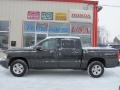 Brilliant Black - Dakota ST Crew Cab 4x4 Photo No. 23
