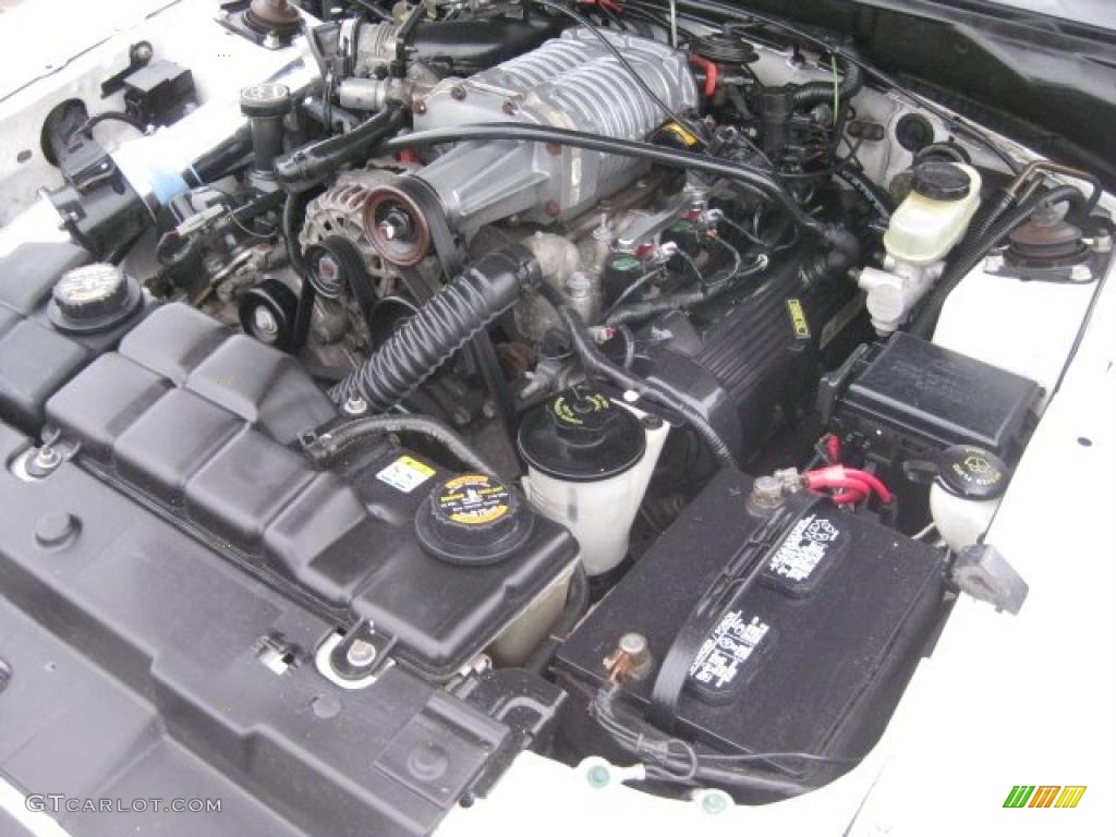 2001 Ford Mustang GT Convertible 4.6 Liter Supercharged SOHC 16-Valve V8 Engine Photo #43689464